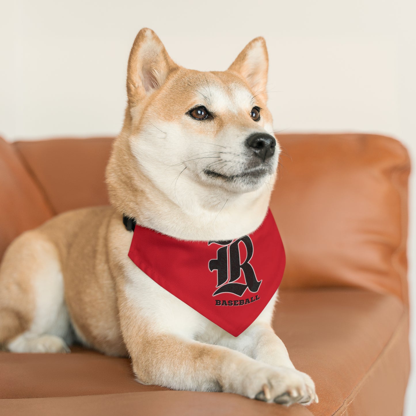 Custom - Pet Bandana Collar