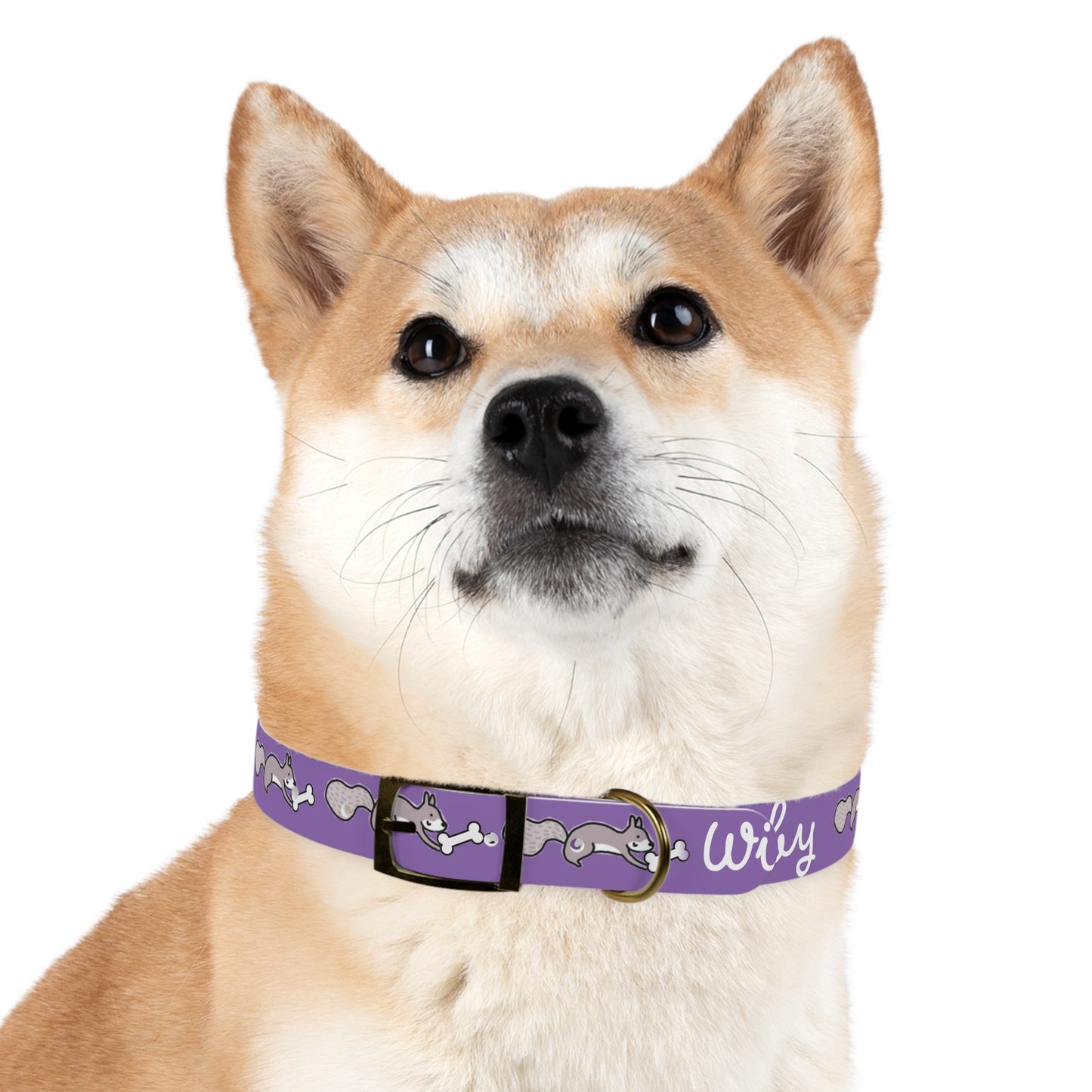 Dog Collar