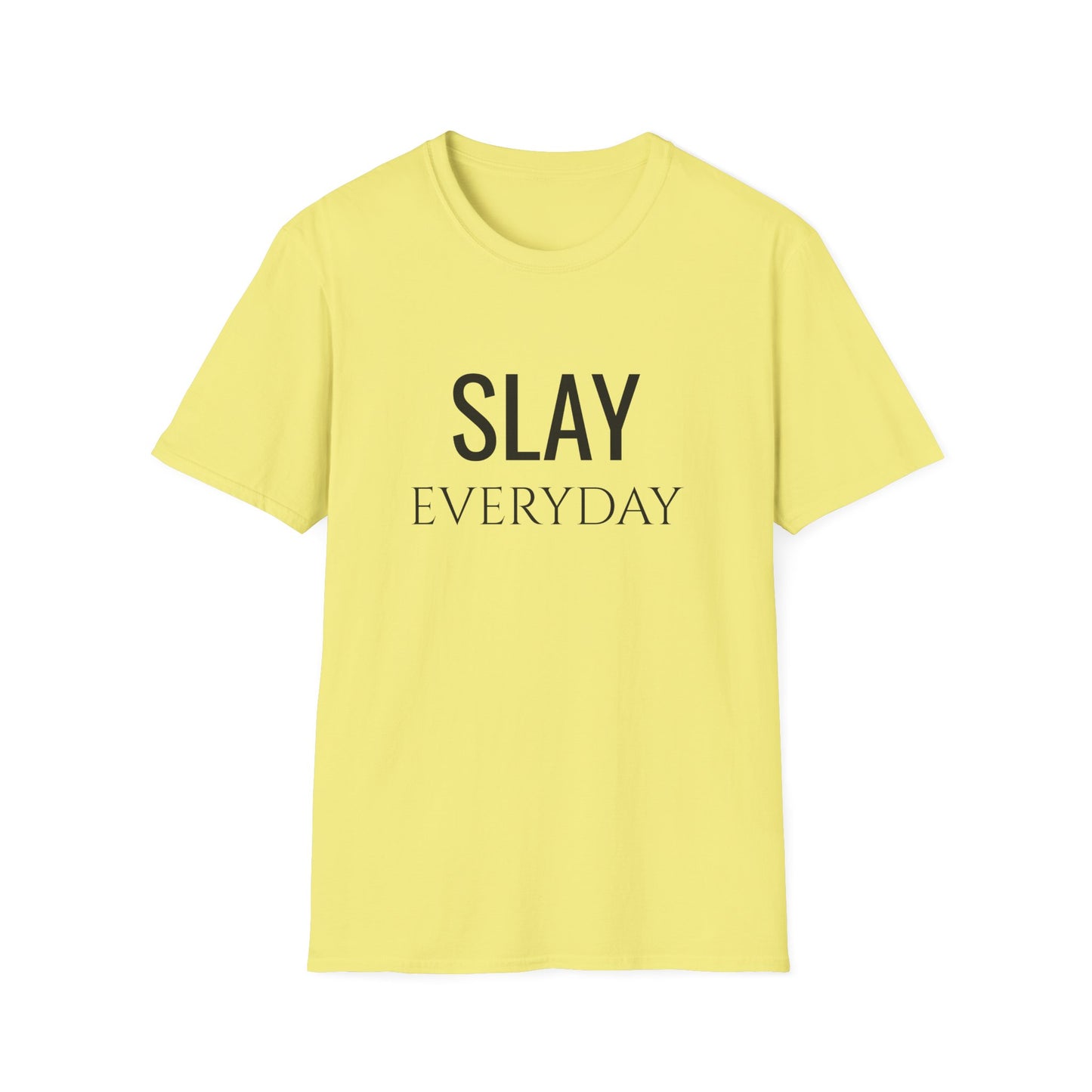 Slay Everyday - Unisex Softstyle T-Shirt