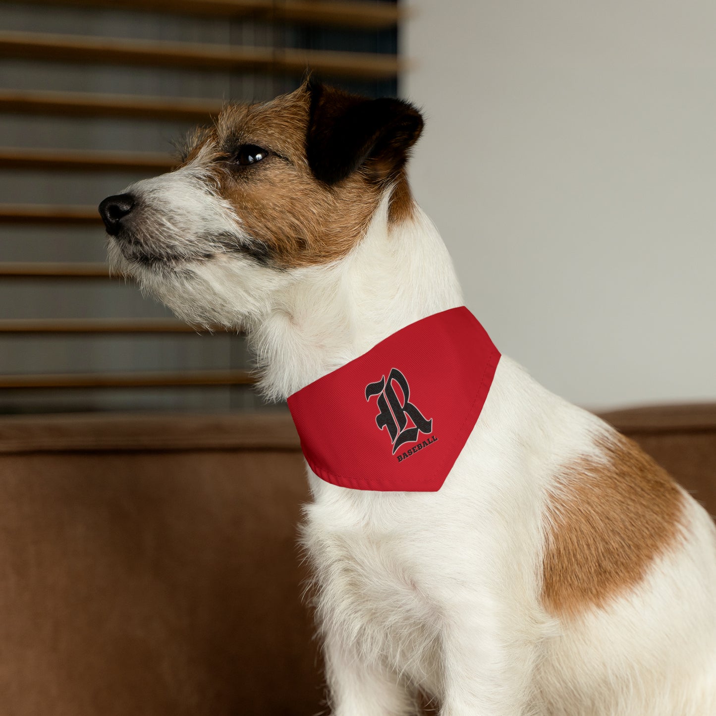 Custom - Pet Bandana Collar