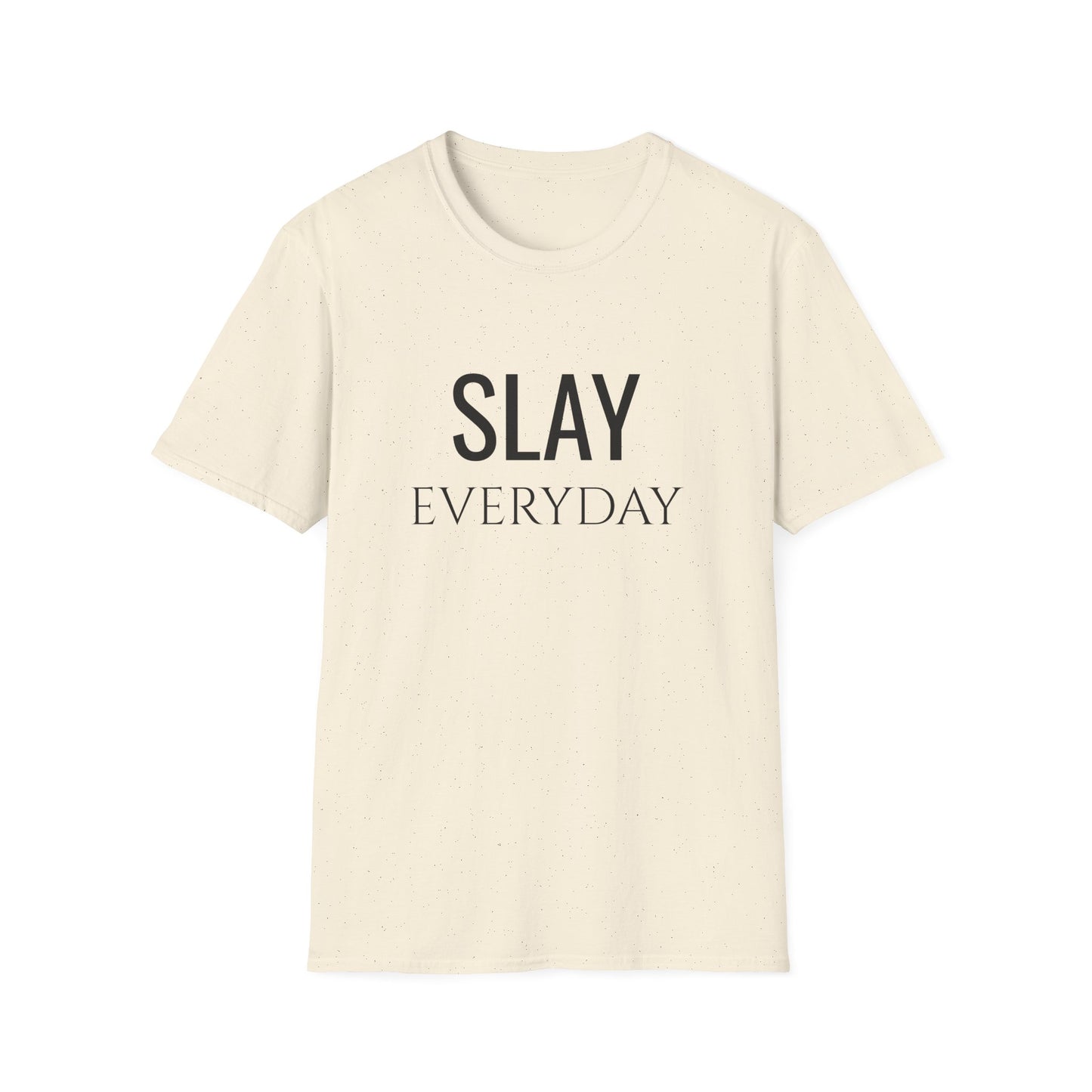 Slay Everyday - Unisex Softstyle T-Shirt