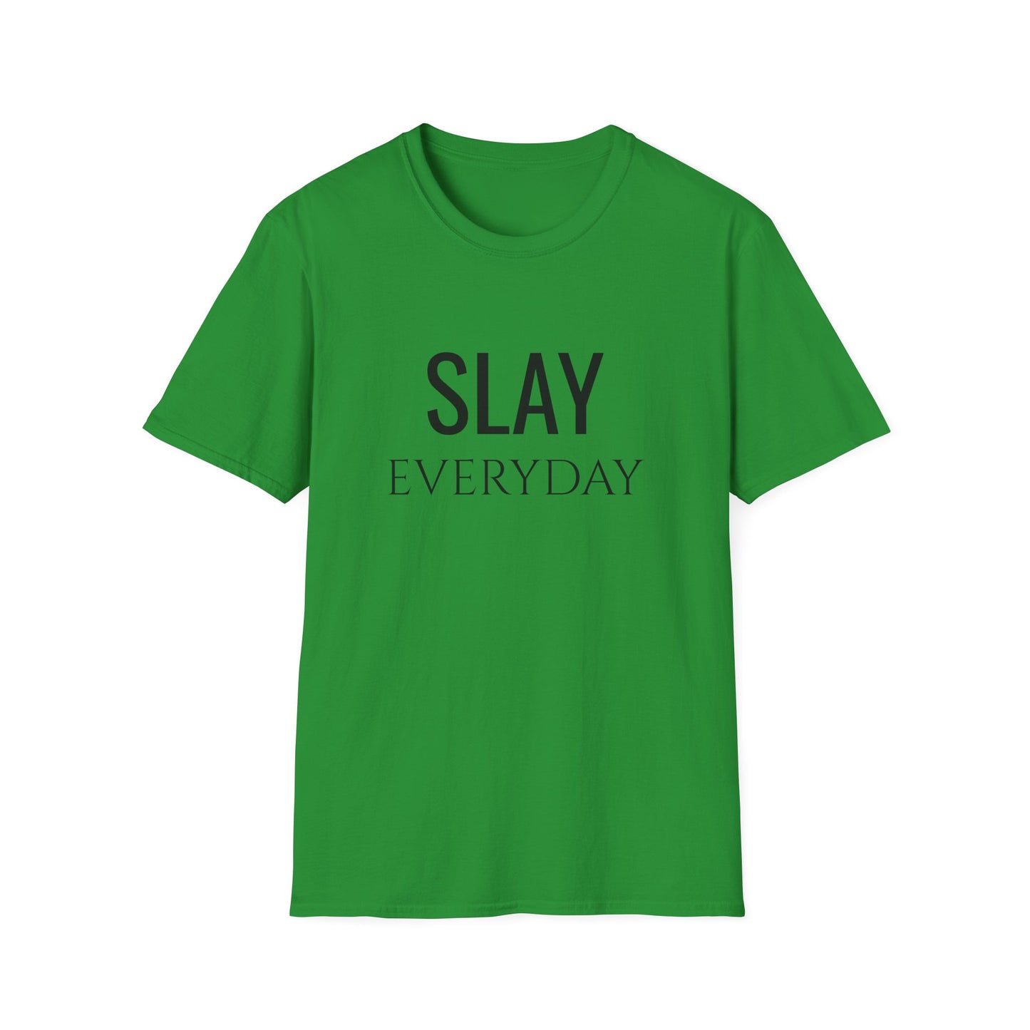 Slay Everyday - Unisex Softstyle T-Shirt