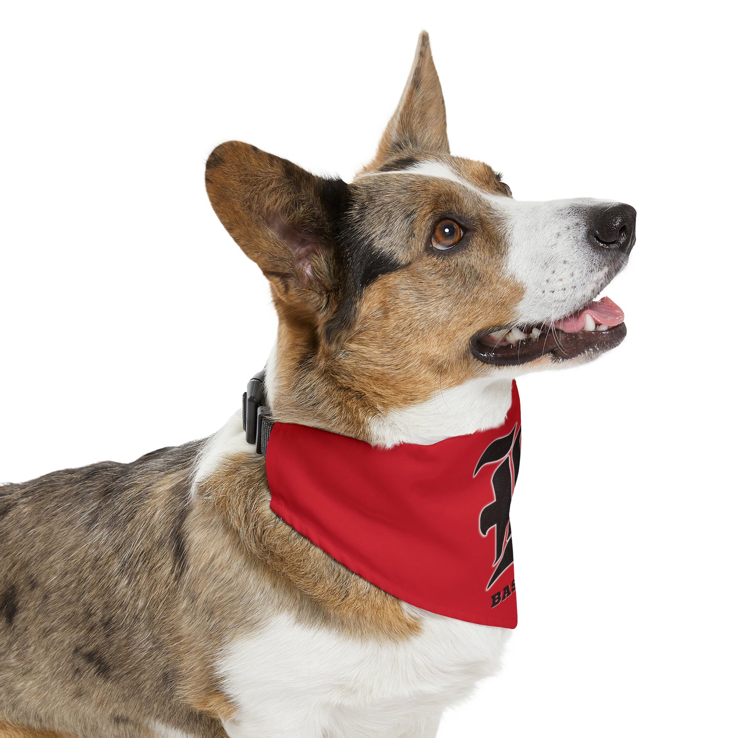 Custom - Pet Bandana Collar