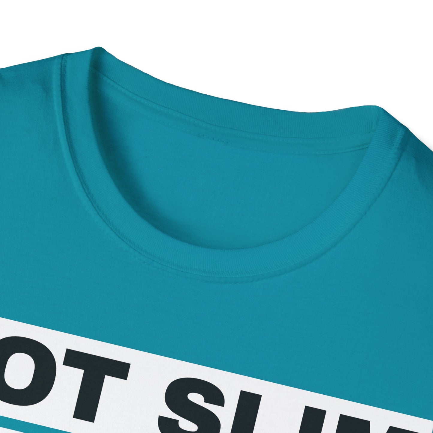 Not Slim Pretty Shady - Unisex Softstyle T-Shirt