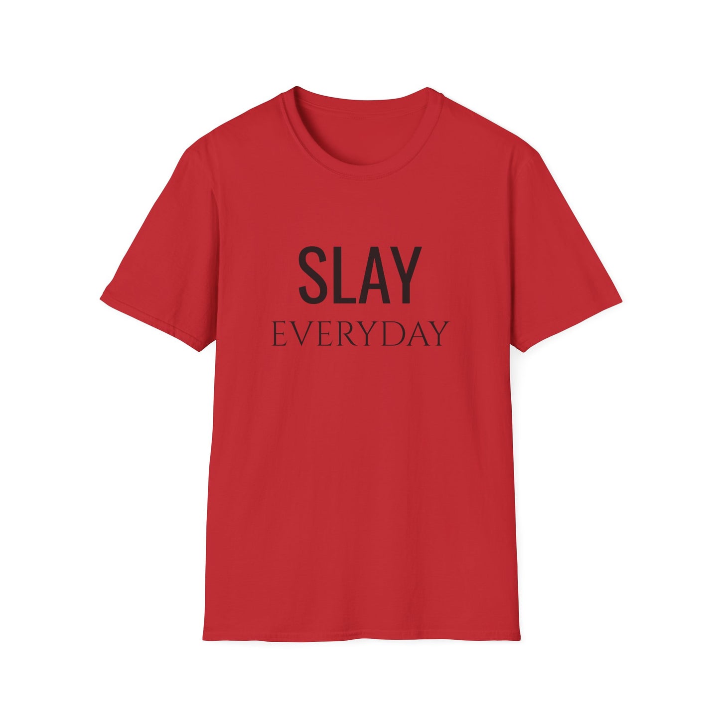 Slay Everyday - Unisex Softstyle T-Shirt