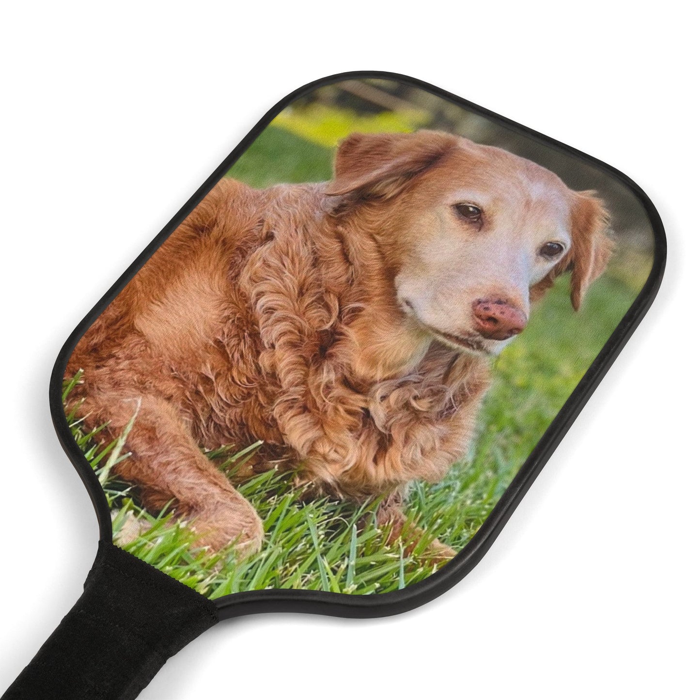 Custom - Pickleball Kit