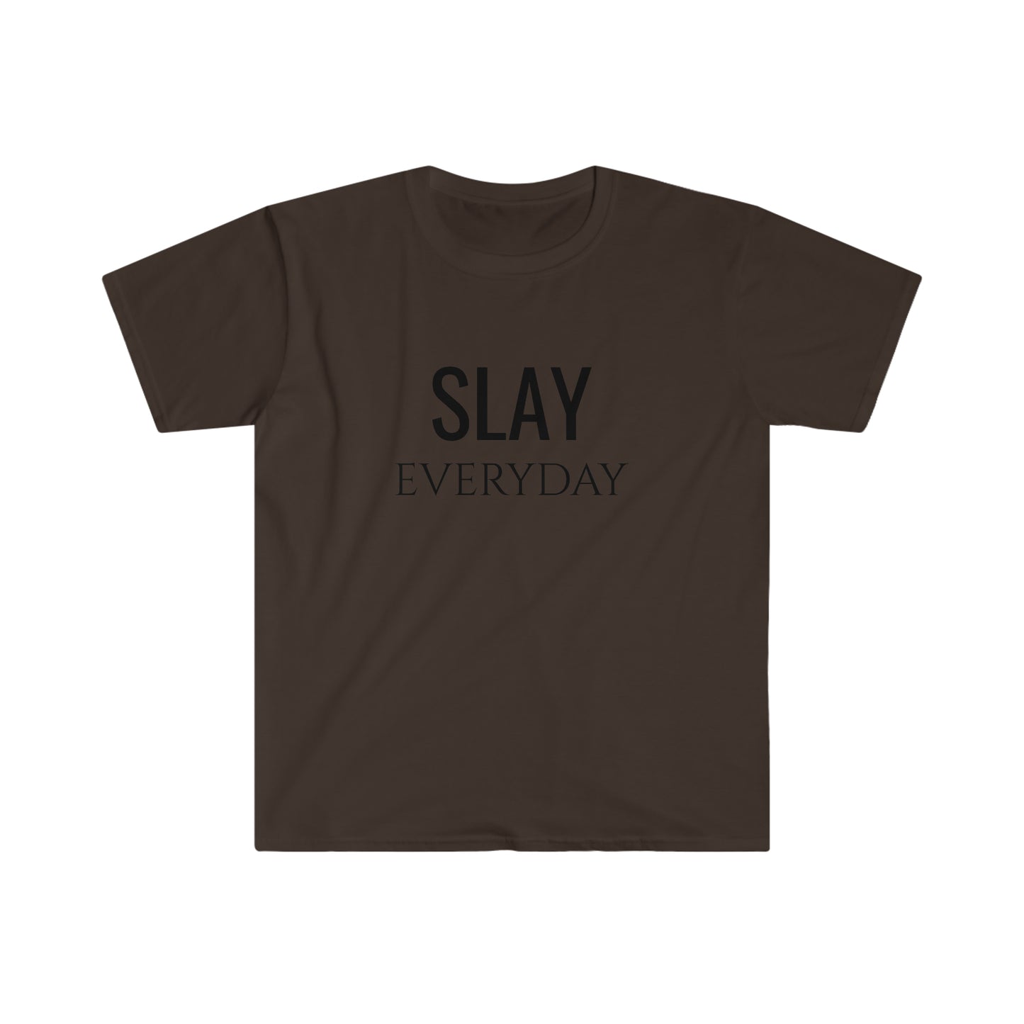 Slay Everyday - Unisex Softstyle T-Shirt