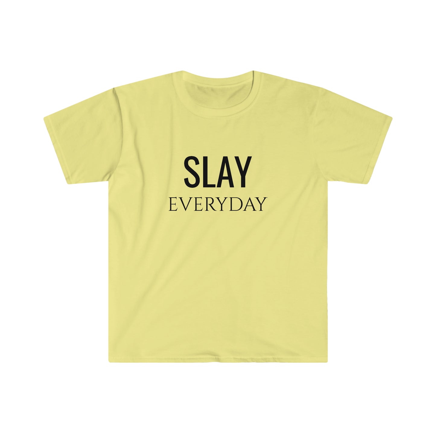 Slay Everyday - Unisex Softstyle T-Shirt